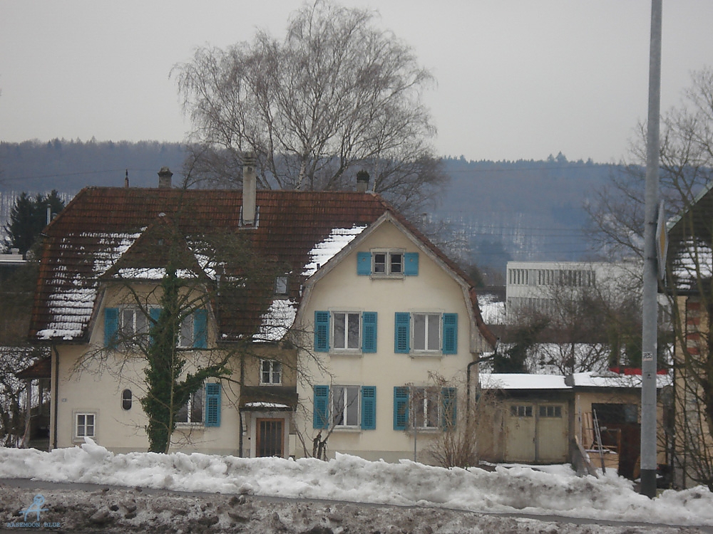 DSC05496