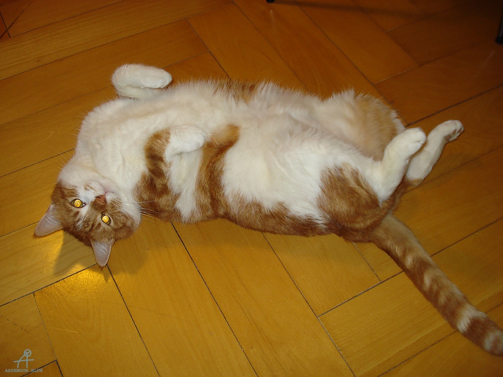 DSC06092