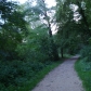 DSC07376