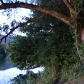 DSC07391