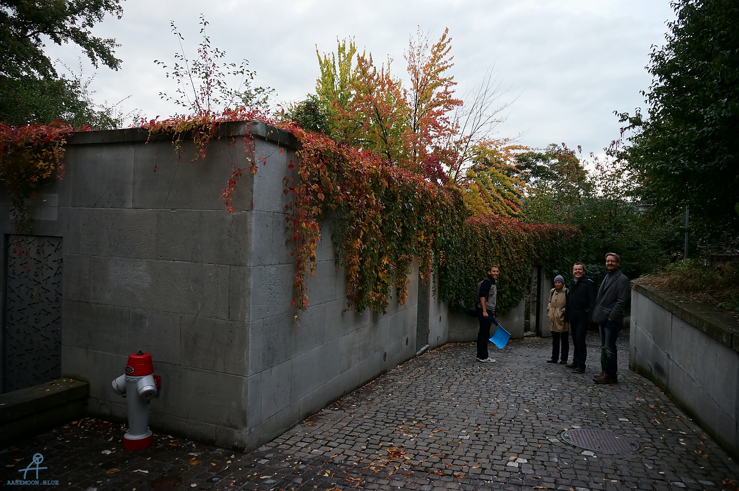 DSC01910