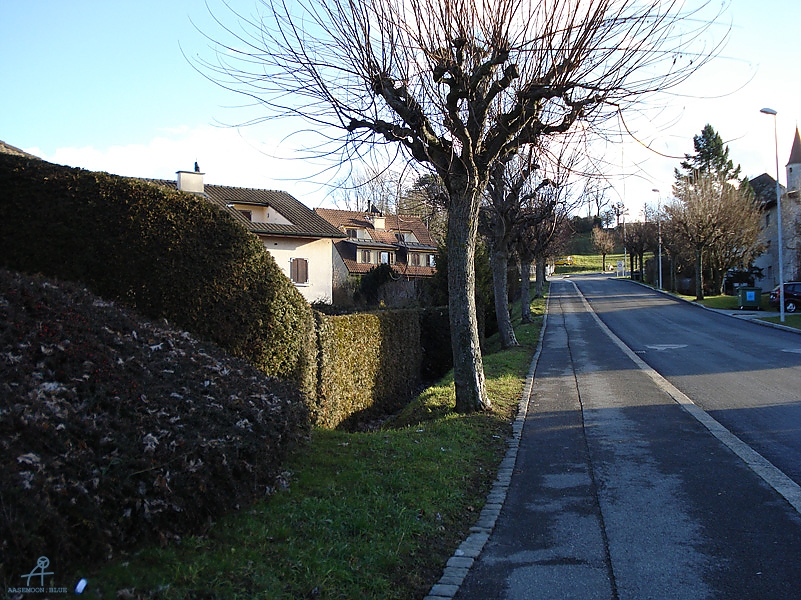 DSC01089