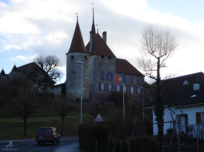 DSC01095
