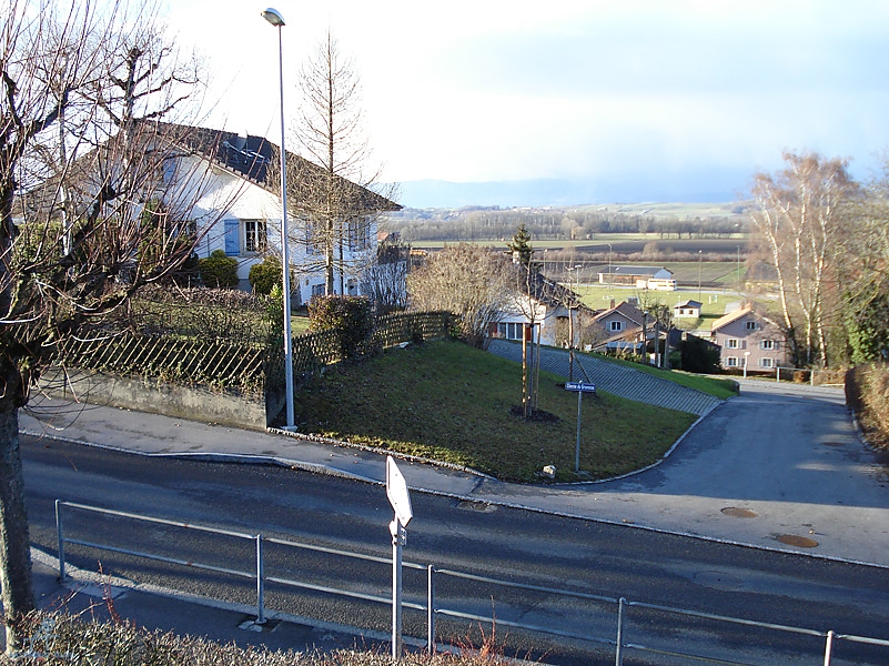 DSC01097