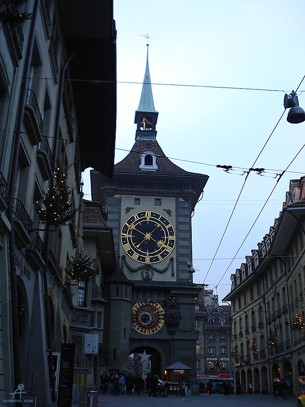 DSC00501