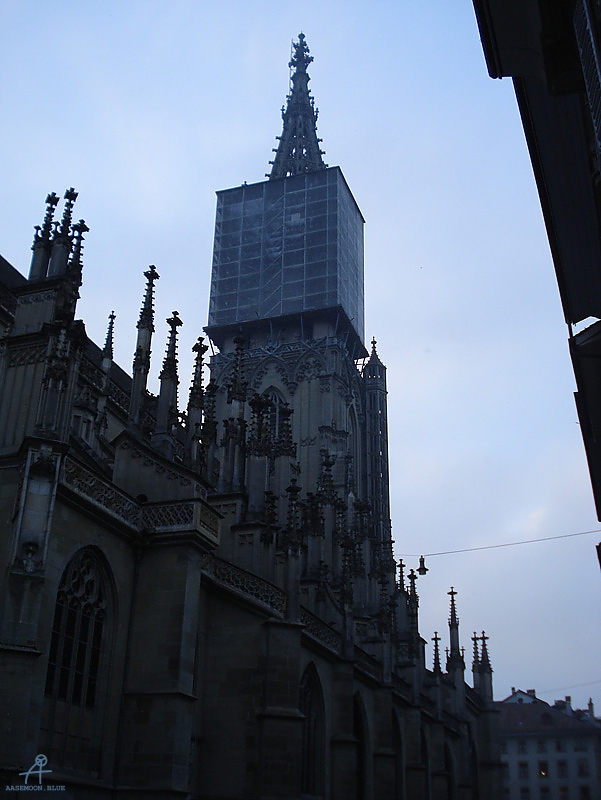 DSC00512