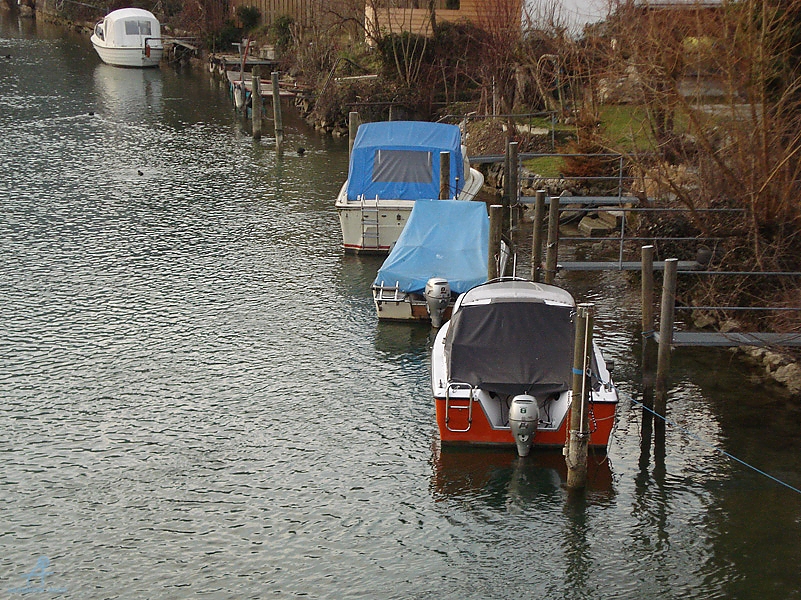DSC01329