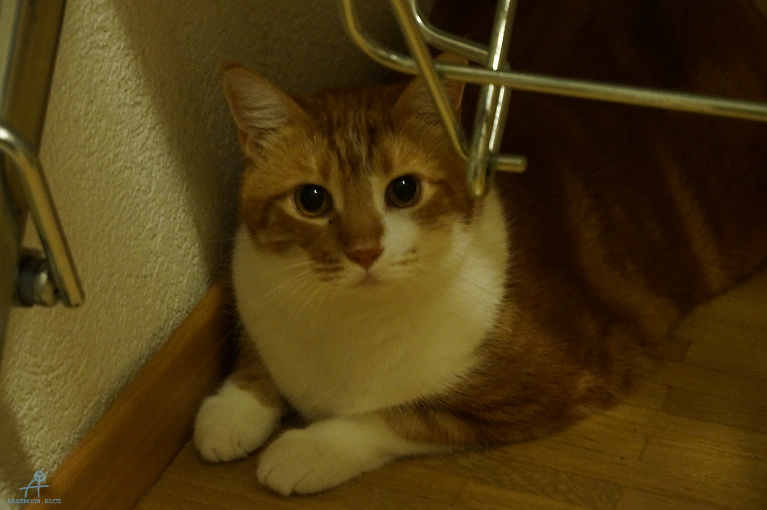 DSC00023