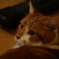 DSC03736