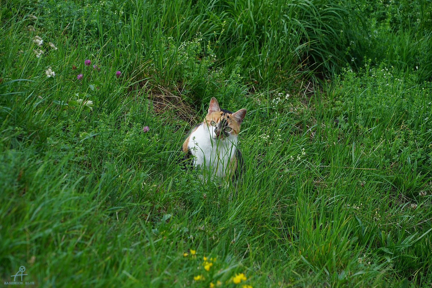 DSC05511