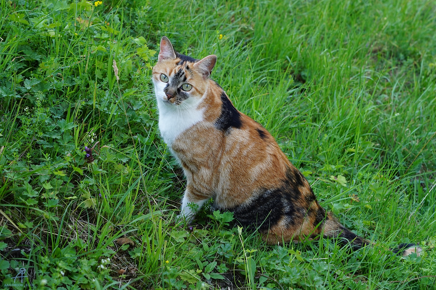 DSC05528