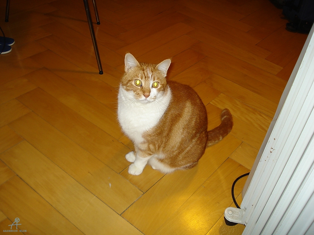 DSC06057