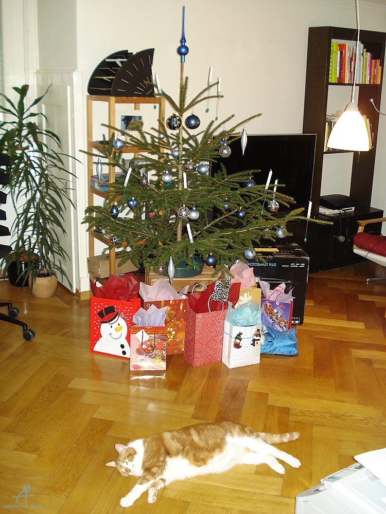 DSC06059