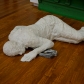 DSC01185