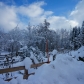 DSC03498