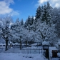 DSC03502