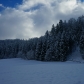 DSC03516