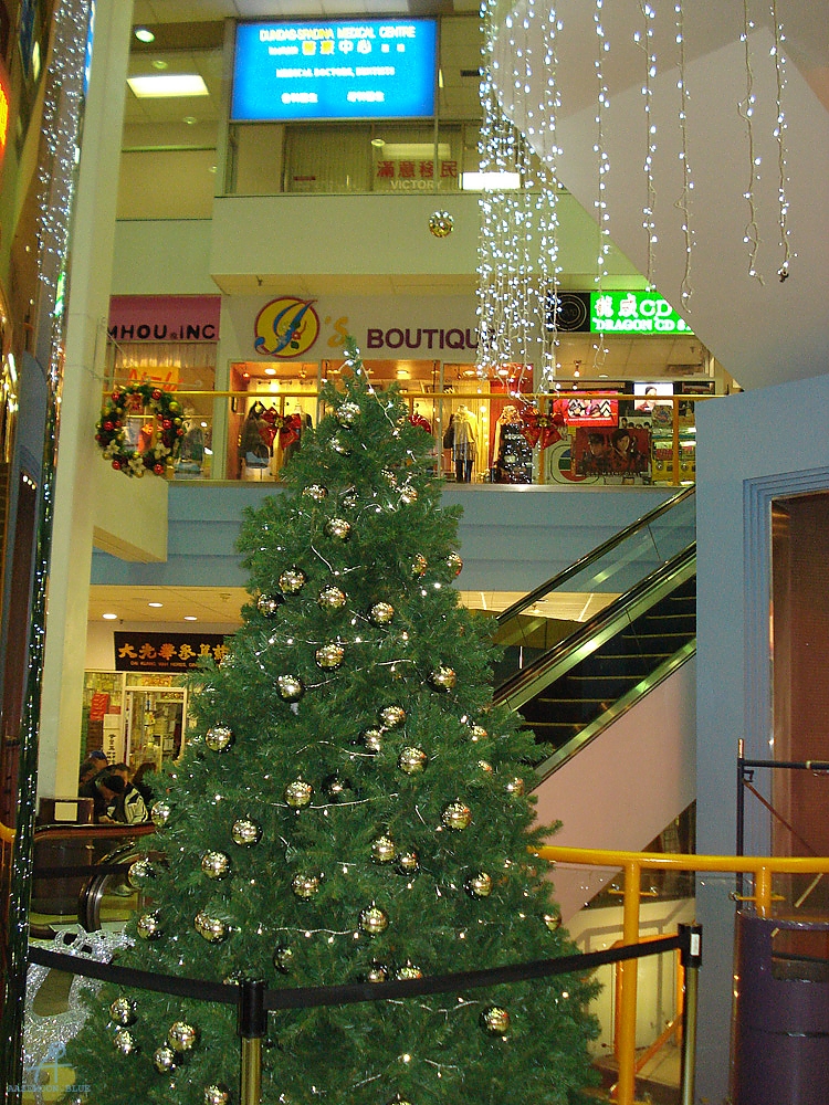 DSC05857