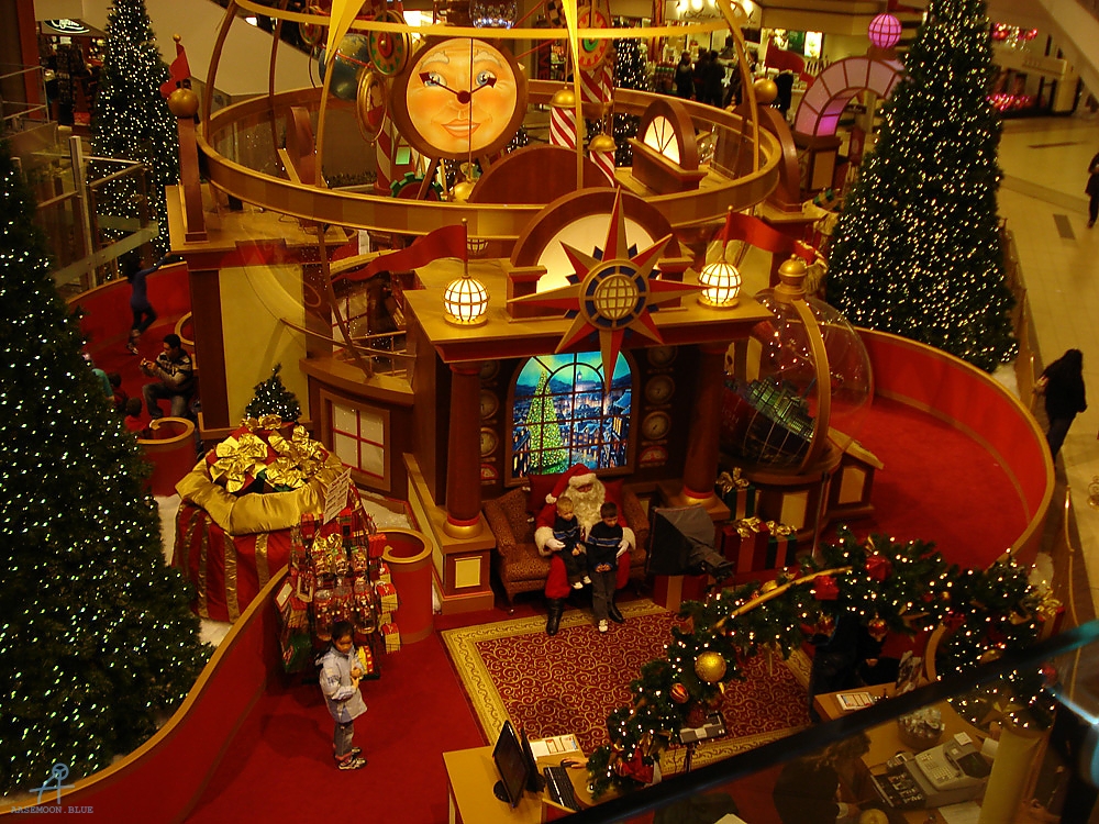 DSC05906