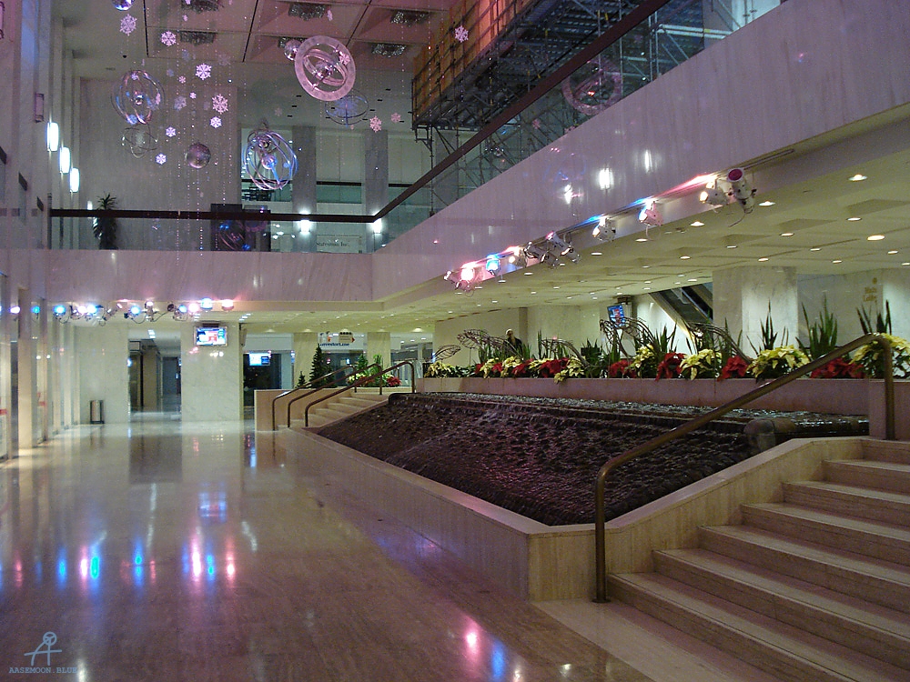 DSC06000