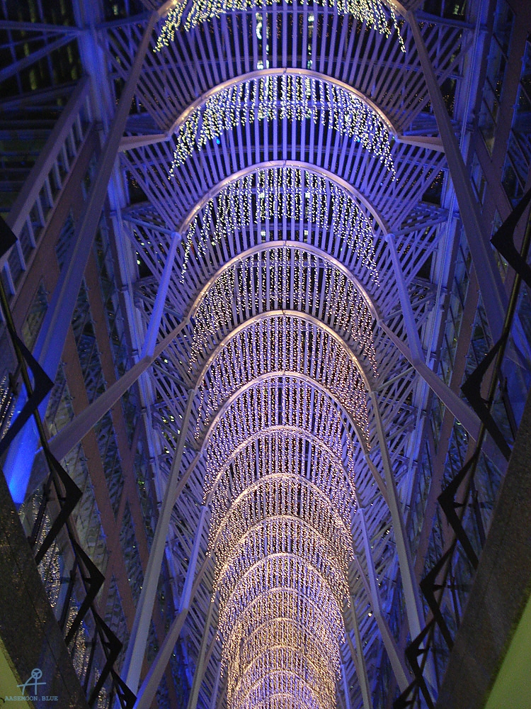 DSC06008