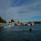 DSC02640