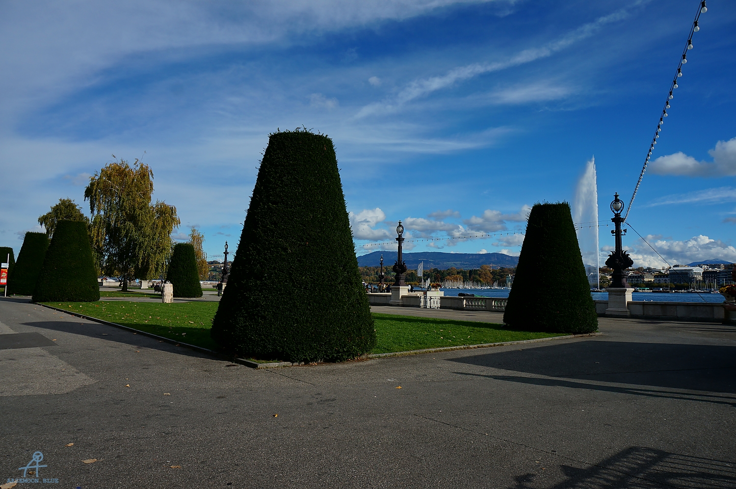 DSC02650