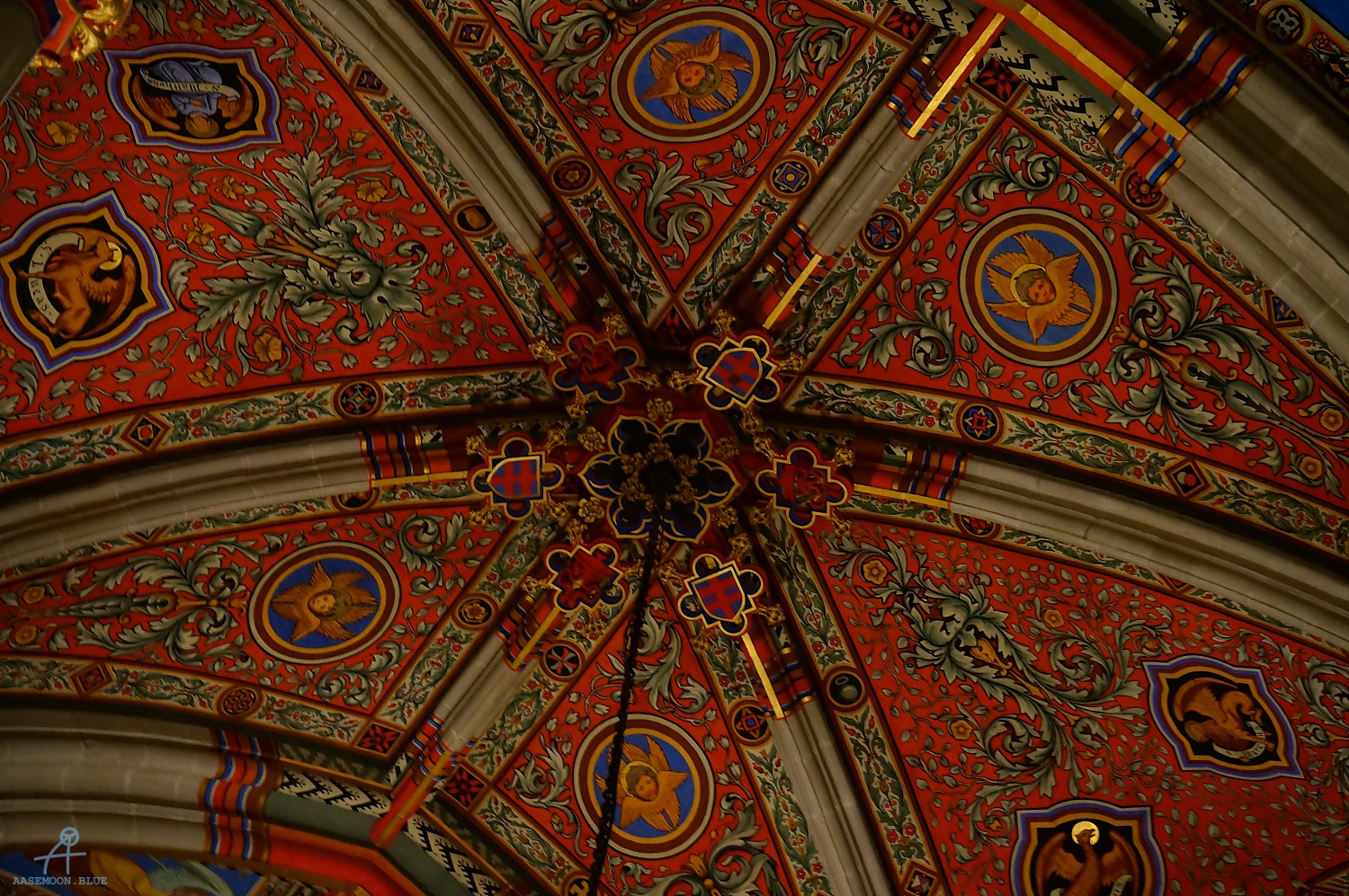 DSC02903
