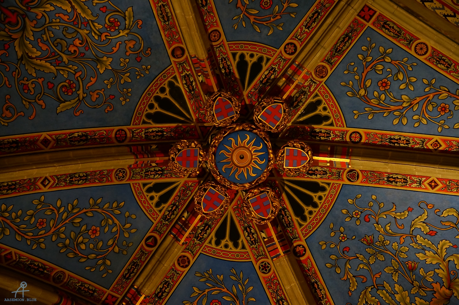 DSC02905