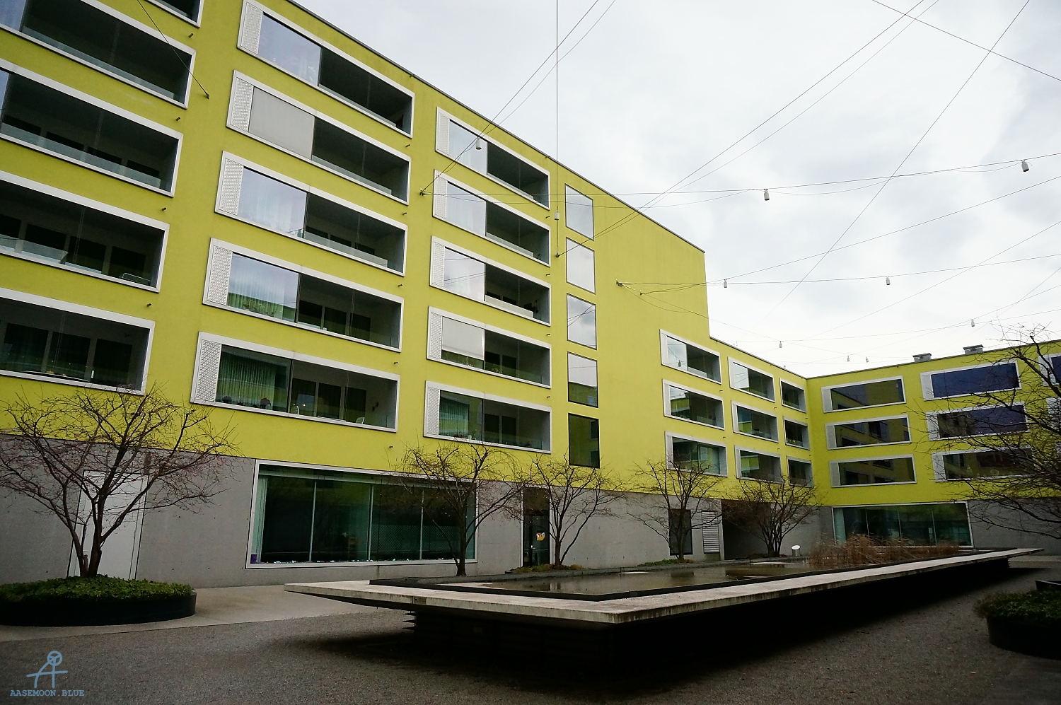DSC06681