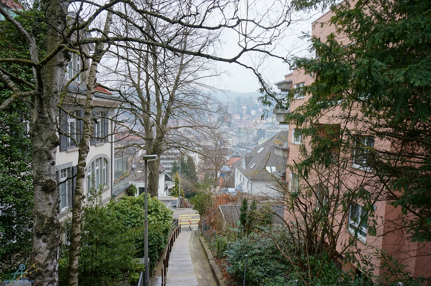 DSC07500