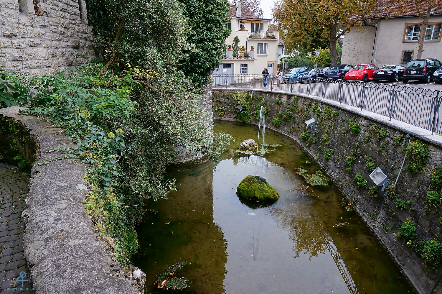 DSC02089