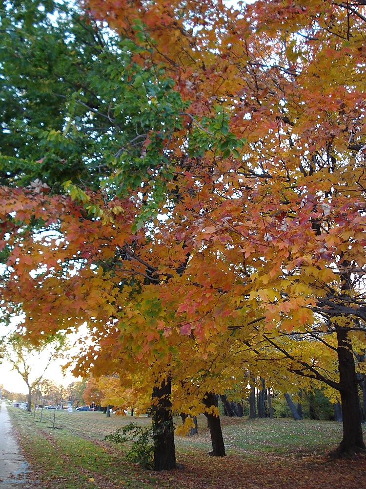 DSC05790