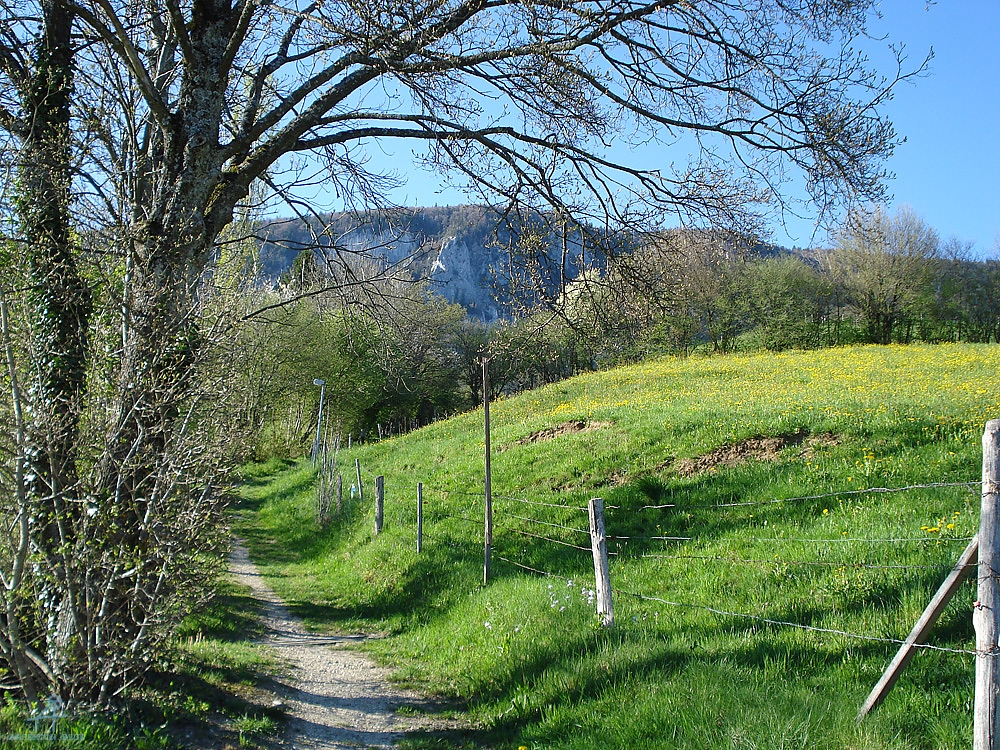 DSC07030