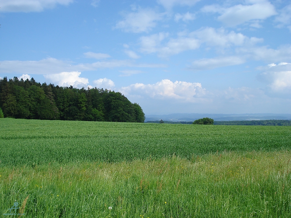 DSC07095