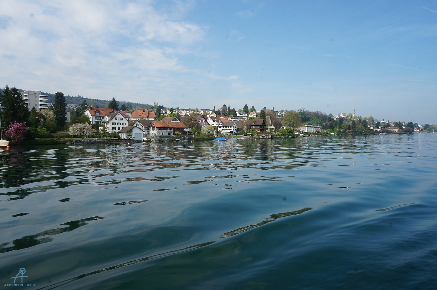 DSC08174