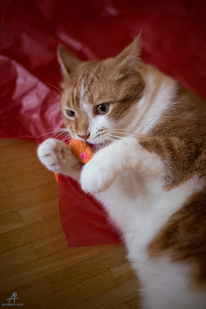 20130320-_DSC1201