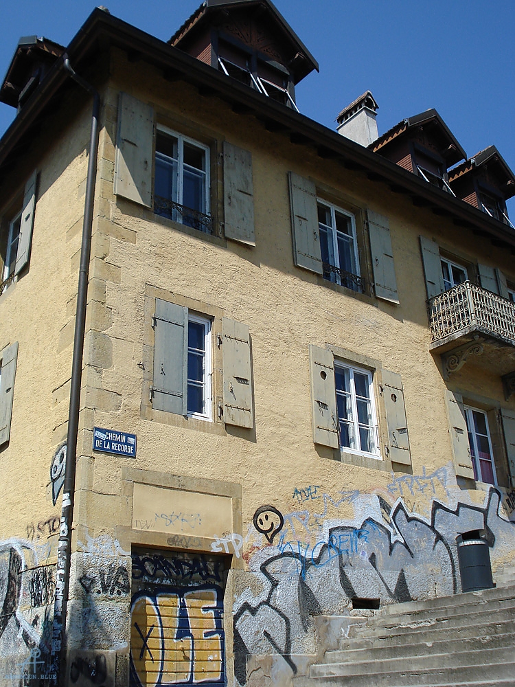 DSC07996