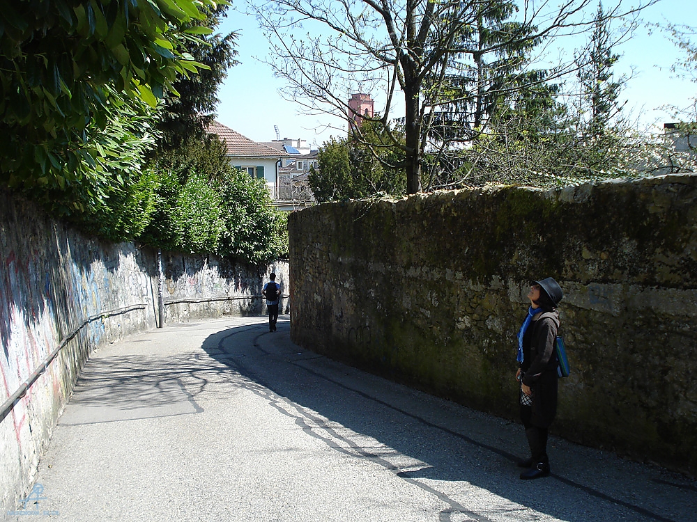 DSC08007