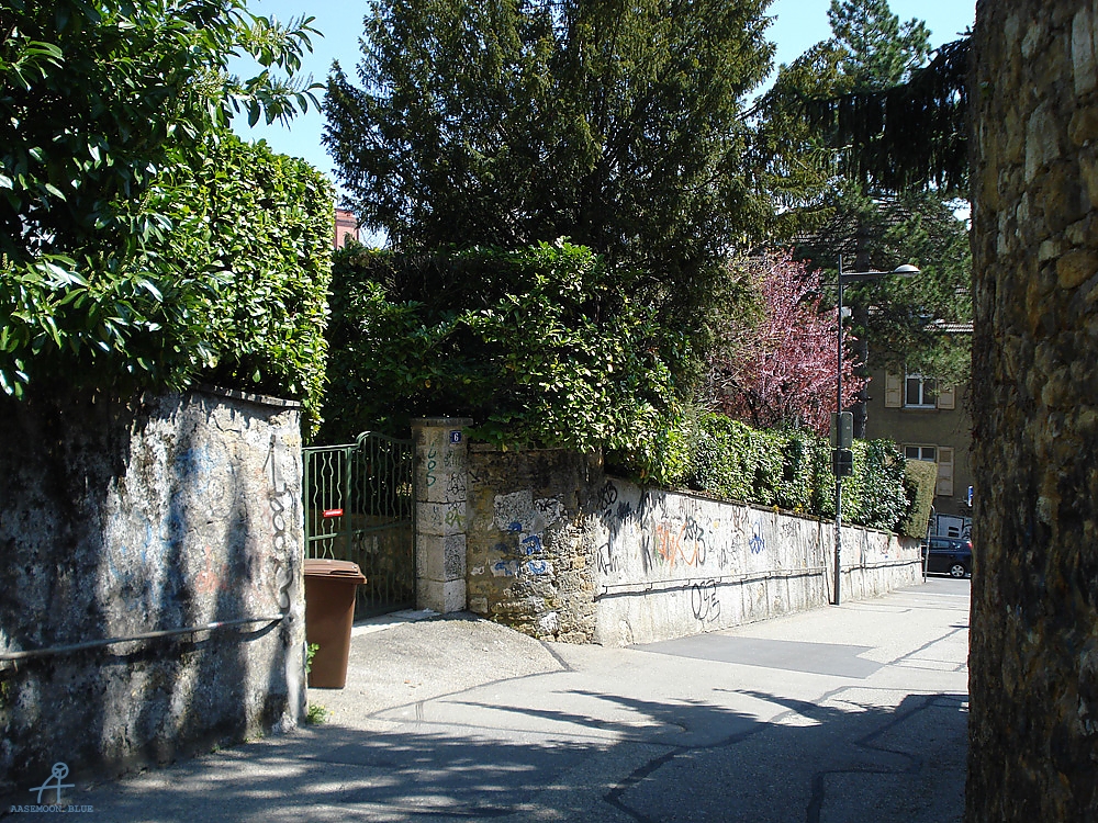 DSC08011