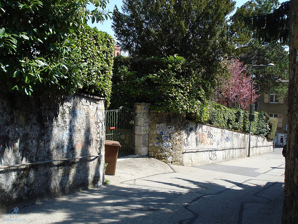 DSC08012