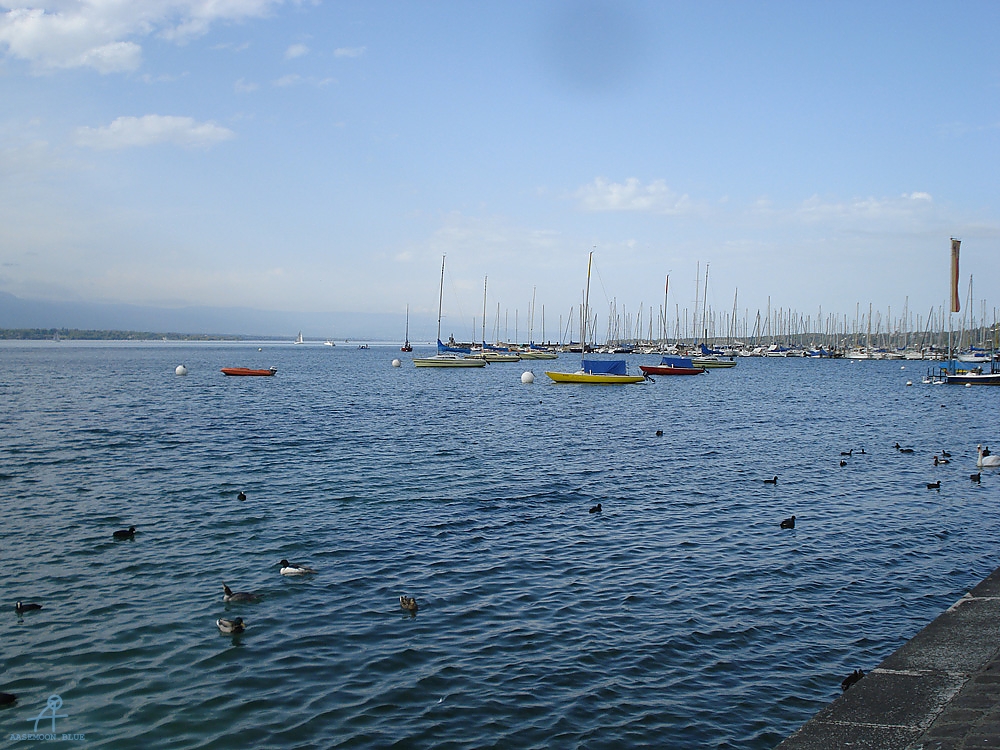 DSC08071