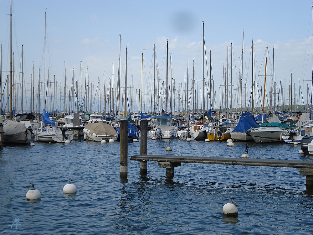 DSC08076
