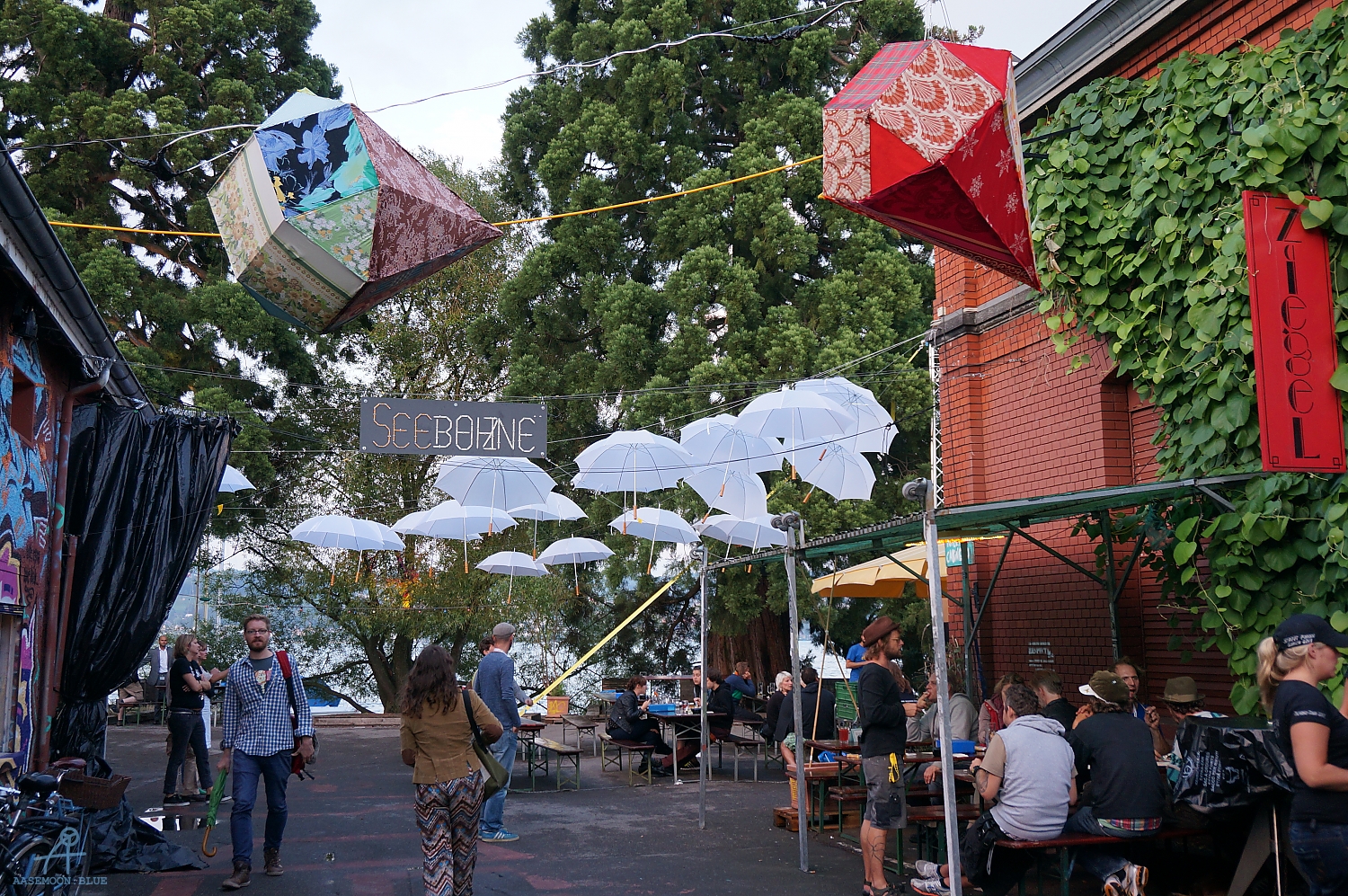DSC00250
