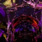 DSC02193