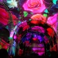 DSC02199