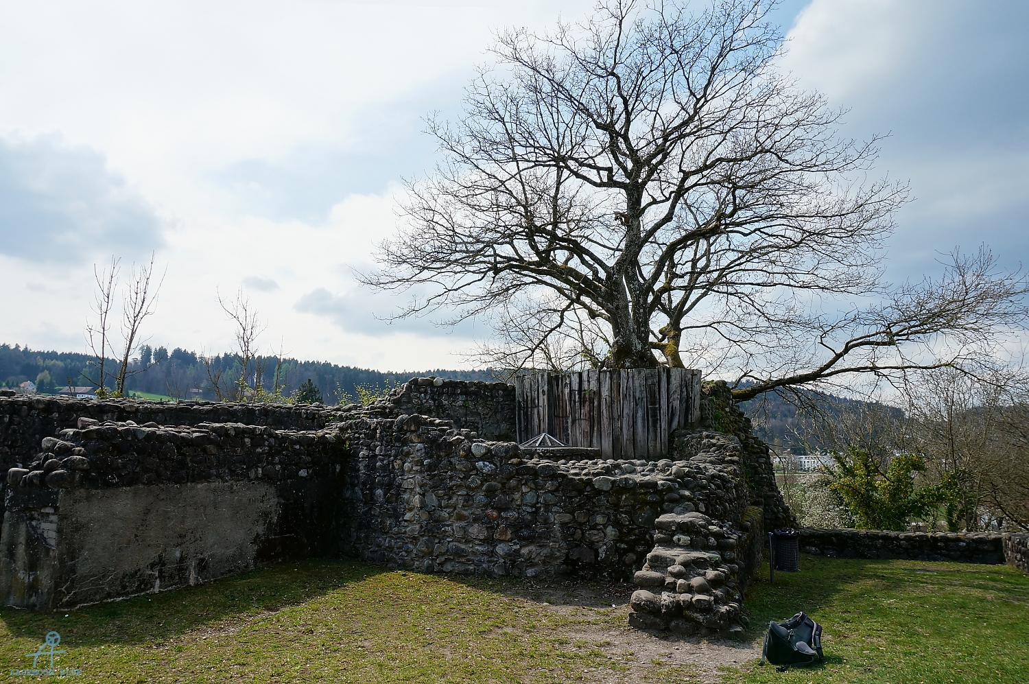 DSC04903