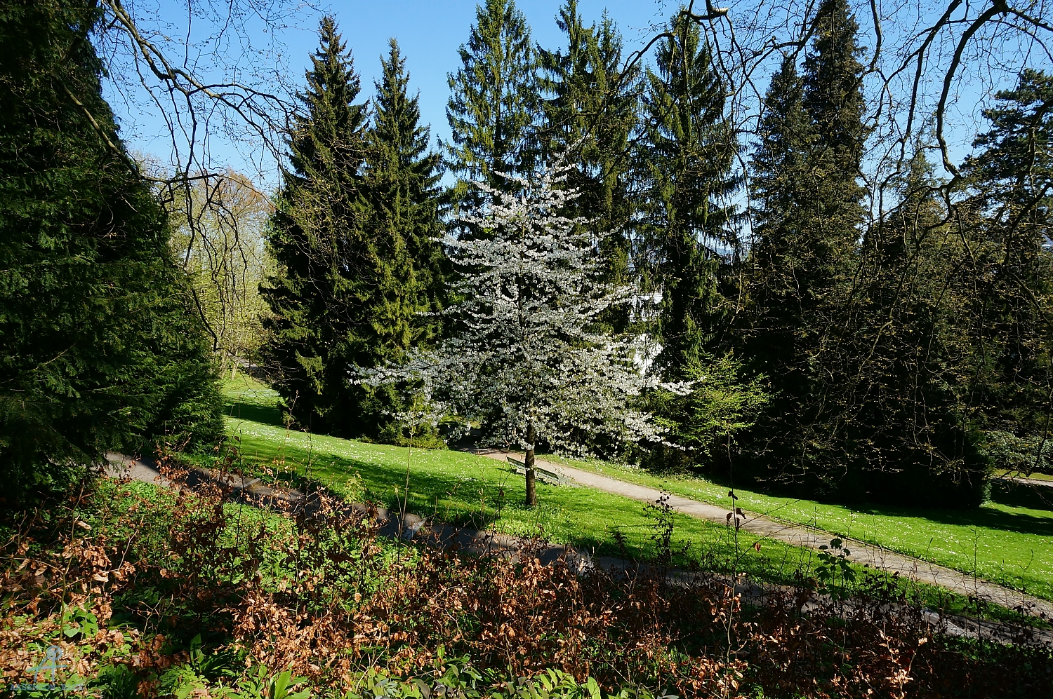 DSC05016
