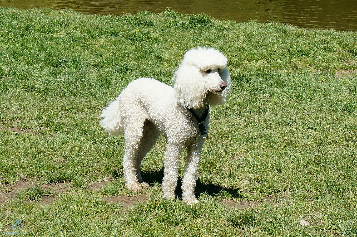 DSC05516