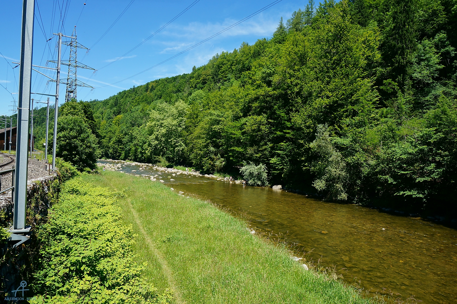 DSC06185